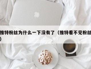 推特粉丝为什么一下没有了（推特看不见粉丝）