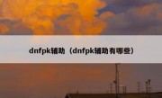 dnfpk辅助（dnfpk辅助有哪些）