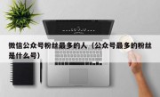 微信公众号粉丝最多的人（公众号最多的粉丝是什么号）