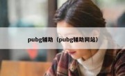 pubg辅助（pubg辅助网站）