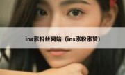 ins涨粉丝网站（ins涨粉涨赞）