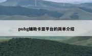 pubg辅助卡盟平台的简单介绍