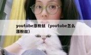 youtube涨粉丝（youtube怎么涨粉丝）