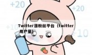 Twitter涨粉丝平台（twitter 用户量）