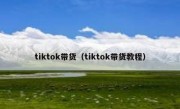 tiktok带货（tiktok带货教程）