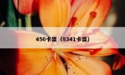 456卡盟（8341卡盟）