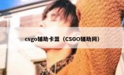 csgo辅助卡盟（CSGO辅助网）