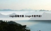 csgo自瞄卡盟（csgo卡盟平台）