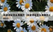 抖音评论怎么发图片（抖音评论怎么发图片2022）