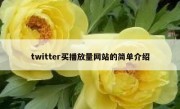 twitter买播放量网站的简单介绍