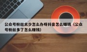 公众号粉丝太少怎么办呀抖音怎么赚钱（公众号粉丝多了怎么赚钱）