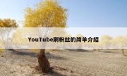 YouTube刷粉丝的简单介绍