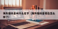 海外版抖音叫什么名字（海外版抖音现在怎么样了）