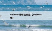 twitter涨粉丝网站（Twitter吧）