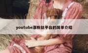 youtube涨粉丝平台的简单介绍