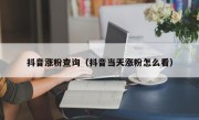 抖音涨粉查询（抖音当天涨粉怎么看）