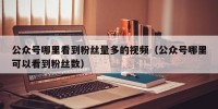 公众号哪里看到粉丝量多的视频（公众号哪里可以看到粉丝数）