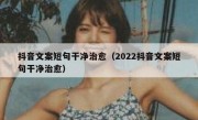 抖音文案短句干净治愈（2022抖音文案短句干净治愈）