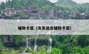 辅助卡盟（生死狙击辅助卡盟）