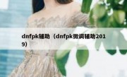 dnfpk辅助（dnfpk微调辅助2019）