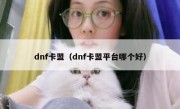 dnf卡盟（dnf卡盟平台哪个好）