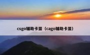 csgo辅助卡盟（cago辅助卡盟）