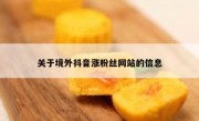 关于境外抖音涨粉丝网站的信息