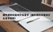 国外用的抖音叫什么名字（国外用的抖音叫什么名字好听）