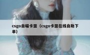 csgo自瞄卡盟（csgo卡盟在线自助下单）