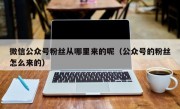 微信公众号粉丝从哪里来的呢（公众号的粉丝怎么来的）