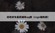 绝地求生最新辅助qq群（csgo辅助群）