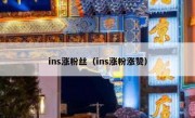 ins涨粉丝（ins涨粉涨赞）