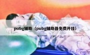 pubg辅助（pubg辅助器免费开挂）