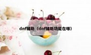 dnf辅助（dnf辅助功能在哪）