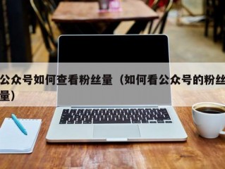 公众号如何查看粉丝量（如何看公众号的粉丝量）