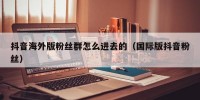 抖音海外版粉丝群怎么进去的（国际版抖音粉丝）