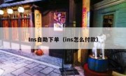 Ins自助下单（ins怎么付款）