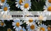 推特涨粉丝（Twitter涨粉）