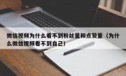 微信视频为什么看不到粉丝量和点赞量（为什么微信视频看不到自己）