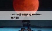 Twitter涨粉丝网站（twitter 用户量）