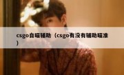 csgo自瞄辅助（csgo有没有辅助瞄准）