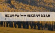 福汇流动平台fxcm（福汇流动平台怎么样）