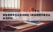 微信视频号怎么关注粉丝（微信视频号里怎么关注好友）