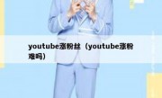 youtube涨粉丝（youtube涨粉难吗）