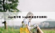 csgo电子哥（csgo职业选手分辨率）