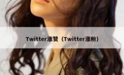 Twitter涨赞（Twitter涨粉）