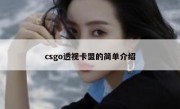 csgo透视卡盟的简单介绍