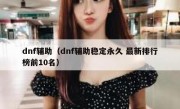 dnf辅助（dnf辅助稳定永久 最新排行榜前10名）