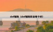 dnf辅助（dnf辅助职业哪个好）