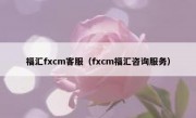 福汇fxcm客服（fxcm福汇咨询服务）